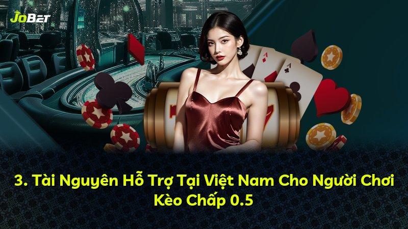 3. Tài Nguyên Hỗ Trợ Tại Việt Nam Cho Người Chơi Kèo Chấp 0.5
