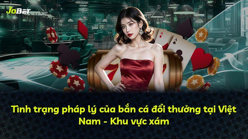 Tình trạng pháp lý của bắn cá đổi thưởng tại Việt Nam - Khu vực xám