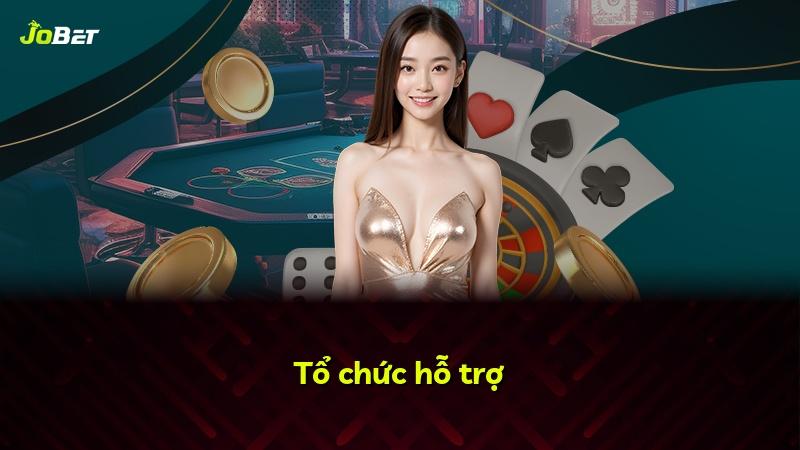 Tổ chức hỗ trợ