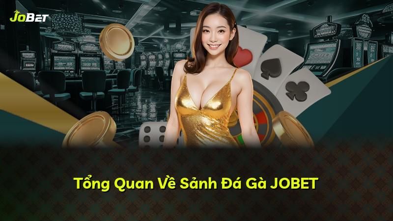 Tổng Quan Về Sảnh Đá Gà JOBET